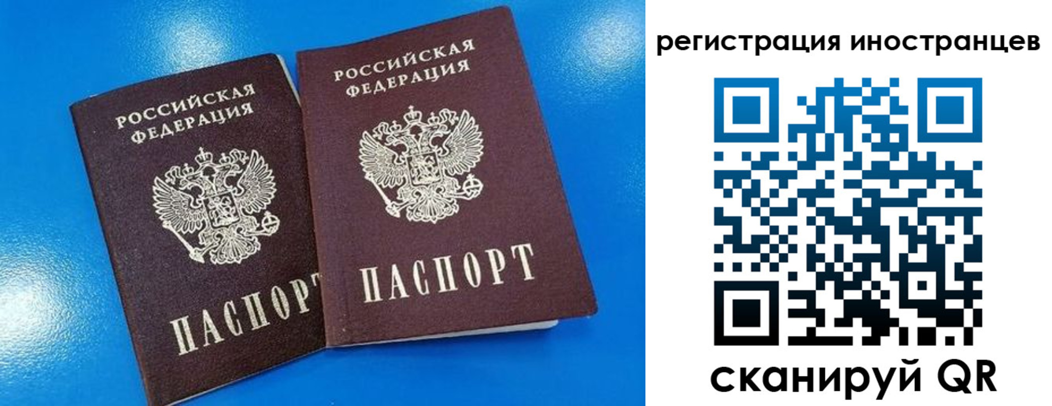 временная регистрация поиск в Апатитах