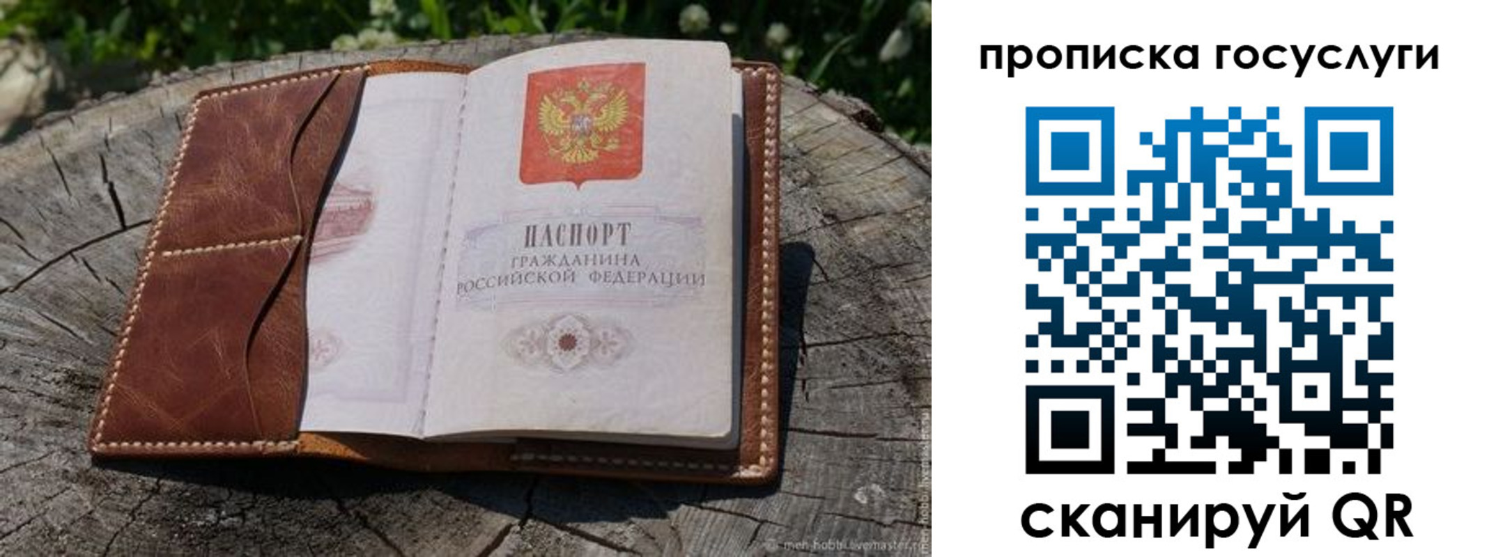 прописка для школы в Апатитах